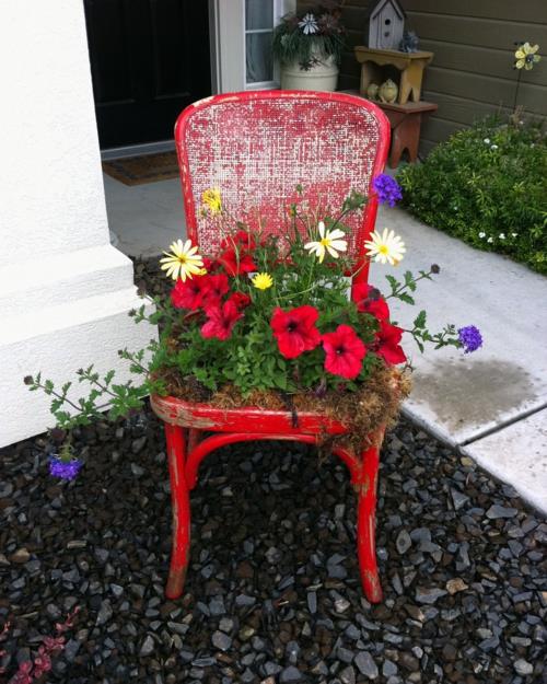 Stare krzesła w ogrodzie z nową funkcją czerwone kwiaty żółte atrakcyjne donice