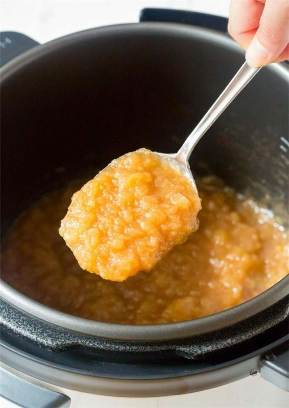 Faites vous-même de la compote de pommes Cuisinez de la purée de pommes