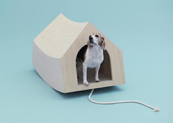 Architecture pour chiens à l'origine pensée maison en bois