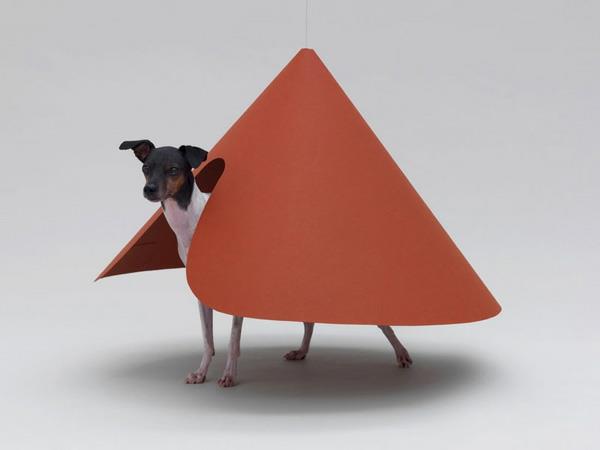 Architecture pour chiens à l'origine pensée surface orange