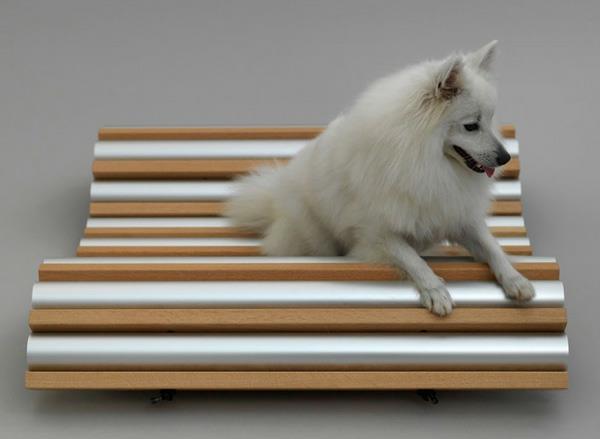 Les chiens ont à l'origine imaginé l'architecture des bancs