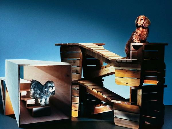 Les chiens ont inventé l'architecture des jeux d'animaux