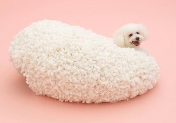 Les chiens ont à l'origine imaginé une couverture douce blanche architecture appropriée