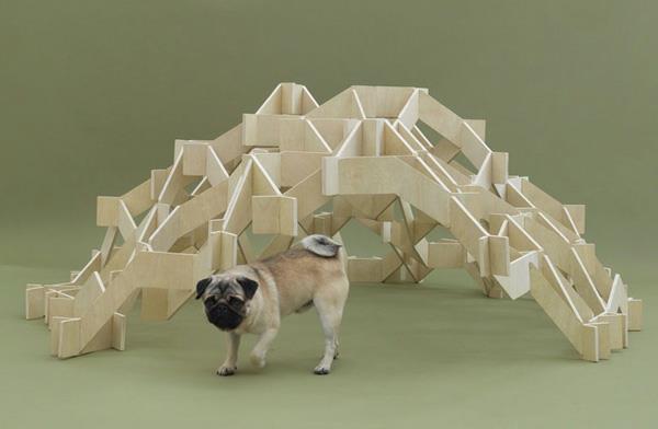 Architecture pour chiens structure originale coin loisirs bois