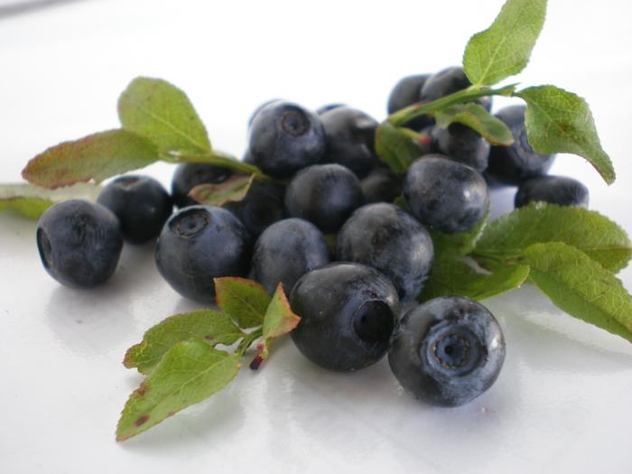 Aronia Aronia Roślina Liście Owoce