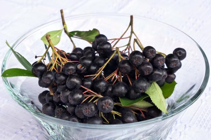 Aronia Aronia Roślinna Skórka Owocowa