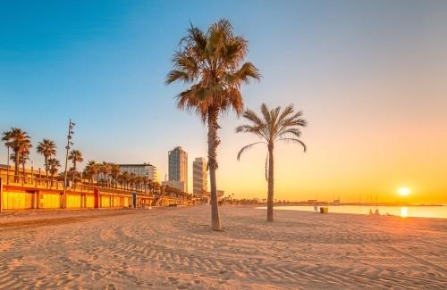 Les destinations de voyage sélectionnées pendant les vacances de septembre continuent les palmiers de plage au lever du soleil