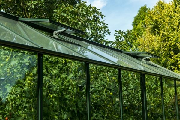 Les ouvre-fenêtres automatiques ventilent la serre Bio-Varis de Hoklartherm en été