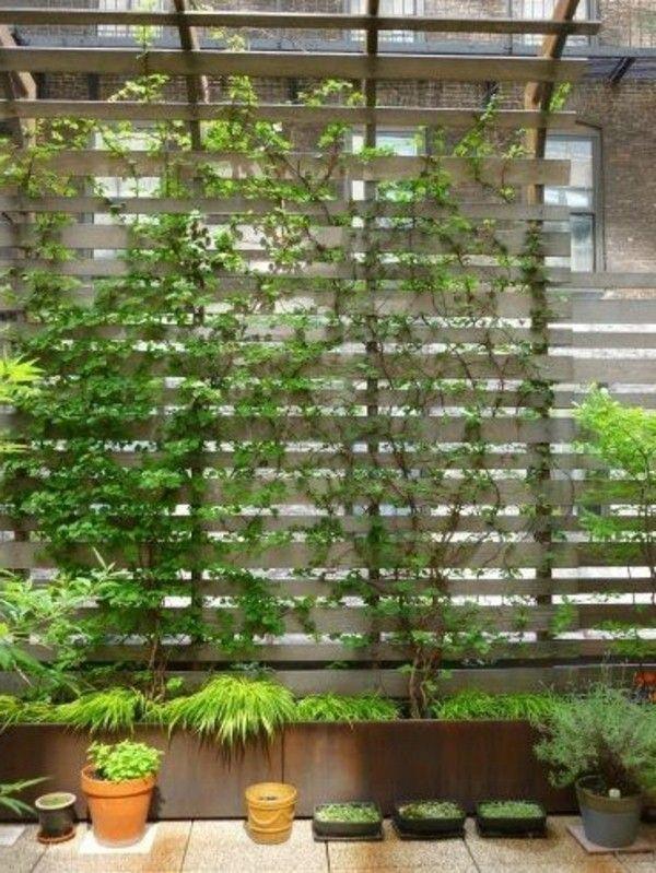 Sadzenie balkonu - pomysły na zielone rośliny