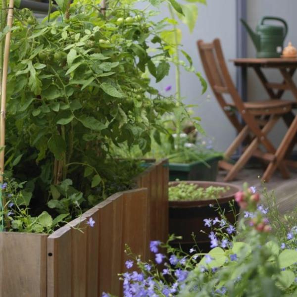 Herbes de jardin de balcon sur les idées de jardin d'herbes de balcon