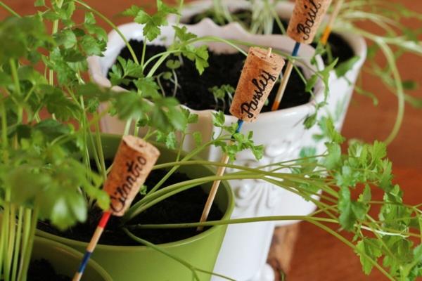 Créez des herbes de basilic de persil de jardin de balcon sur le jardin d'herbes de balcon