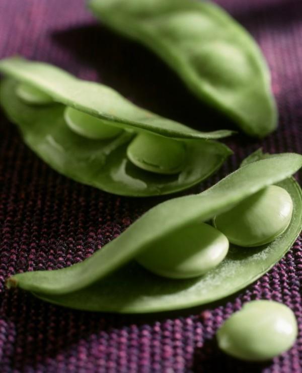 Liste des aliments riches en fibres Haricots de Lima