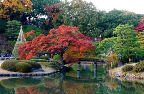 Regards sur dans le parc Rikugien, Tokyo