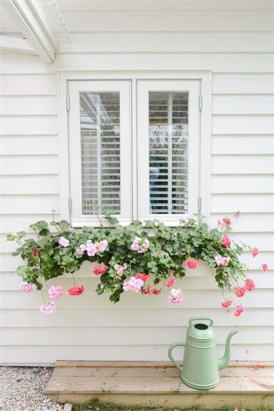 Pudełko na kwiaty na parapecie Połączenie ton w ton wiszących pelargonii przed białą ścianą domu