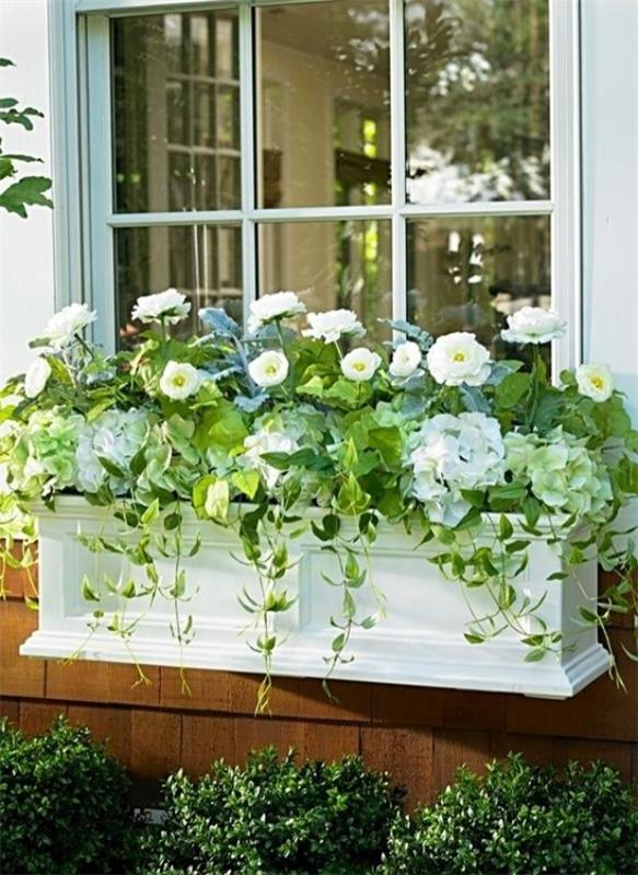 Pudełko na kwiaty na parapecie ułóż rośliny prawidłowo biało-zielone