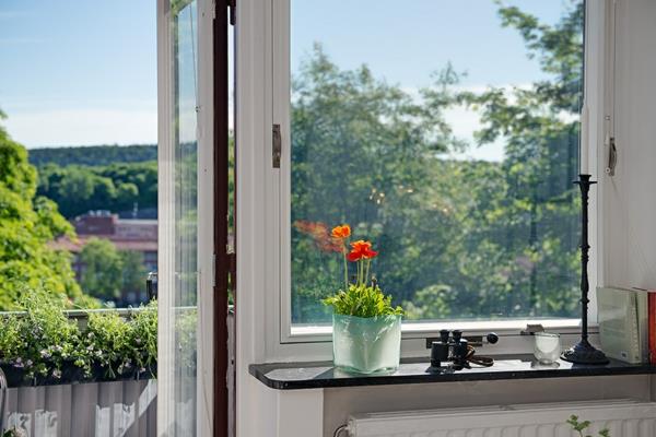 Charmant-et-une-pièce-en-Suède-fenêtre-pot-de-fleur