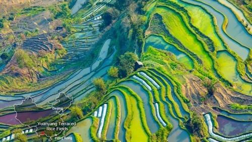 Chińskie kolorowe pola tarasowe Pola ryżowe urzekają kształtami i kolorami
