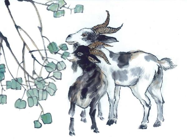 Horoskop chiński 2015 Koza drewniana owca