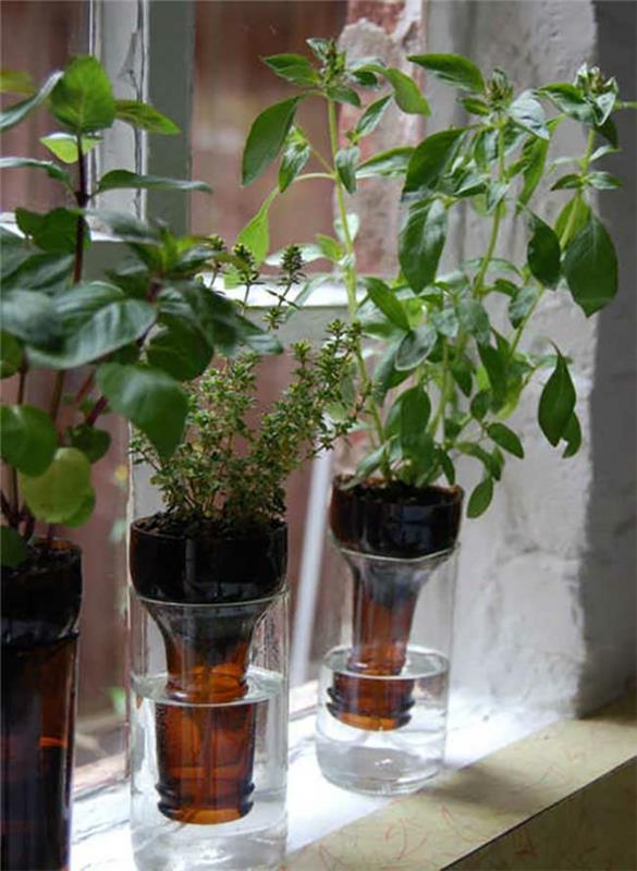 Idées de bricolage avec des bouteilles en verre Idées d'artisanat jeunes plantes