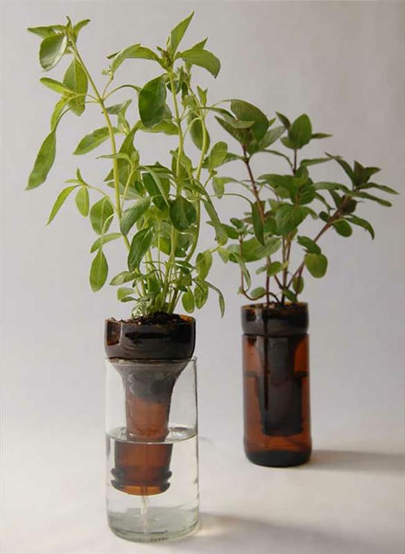 Idées de bricolage avec des bouteilles en verre Idées artisanales Pot de fleurs pour jeunes plantes