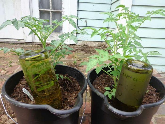 Idées de bricolage avec des bouteilles en verre bricoler des idées de jardin