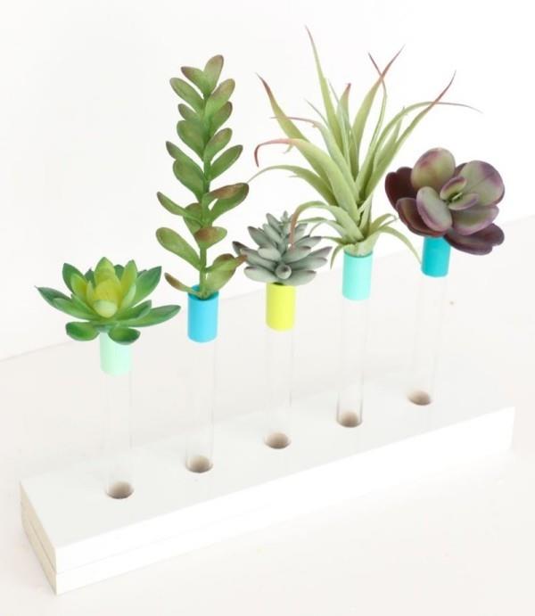 Branchez des plantes décoratives DIY