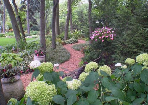 Faire le jardin fleurs bon marché sentier forestier coloré