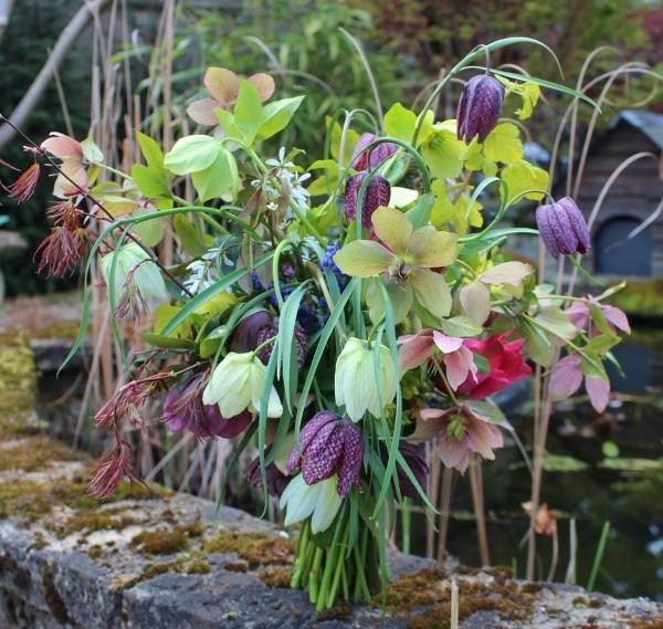 La fleur en damier crée une floraison magique dans le jardin de printemps fleurs coupées fleurs sauvages