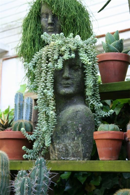 La plante serpent sedum en un coup d'œil - conseils d'entretien, faits intéressants et idées de décoration idées de gorgone méduse cheveux