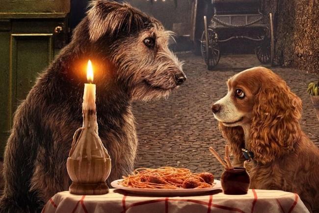 To wszystko nadchodzące przeróbki Disney Lady i tramp susi und stolch