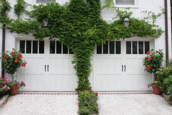 Garage double plantes de jardin feuillu glycine à fleurs hibiscus en pot