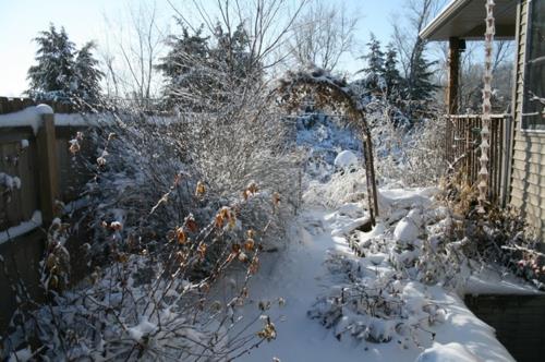 Przyciągaj motyle w kształcie ogrodu rośliny zima obraz śnieg