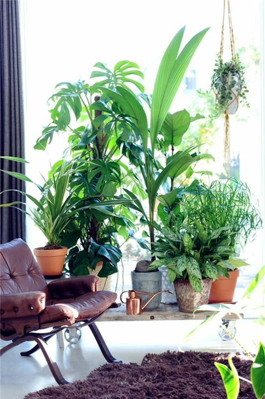 Feng Shui photos plantes d'intérieur terrasse design énergie positive