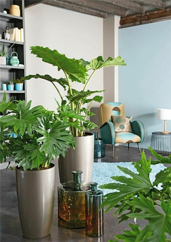 Feng Shui images plantes d'intérieur énergie positive