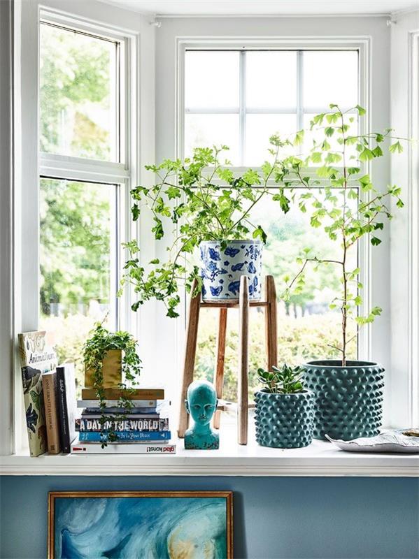 Décorer le rebord de la fenêtre pour l'été - des idées fraîches pour tous les arrangements de plantes à feuilles persistantes d'intérieur