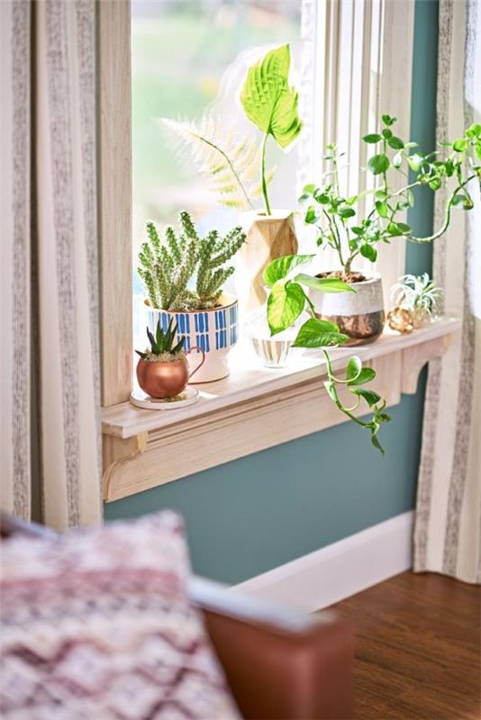 Décorer le rebord de la fenêtre pour l'été - des idées fraîches pour toutes les plantes d'intérieur en pot plantes ornementales vertes