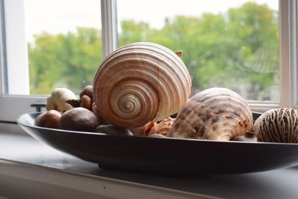 Décorez le rebord de la fenêtre pour l'été - des idées fraîches pour chaque intérieur, des idées de décoration de coquillages