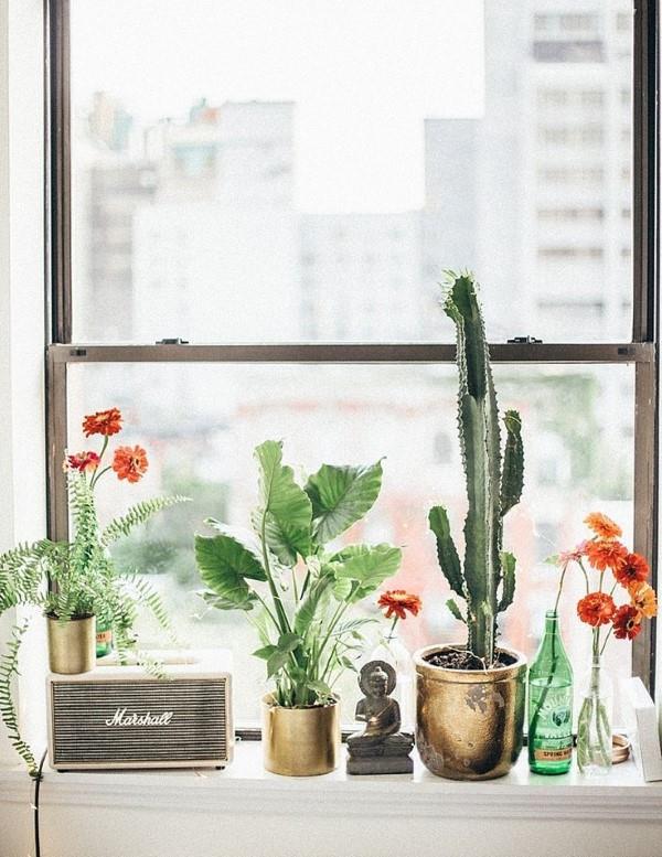 Décorer le rebord de la fenêtre pour l'été - des idées fraîches pour chaque intérieur déco rétro cactus or