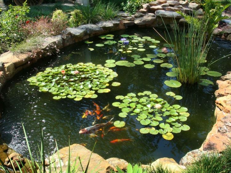 étang à poissons étang de jardin photos idées de jardin plantes aquatiques étang