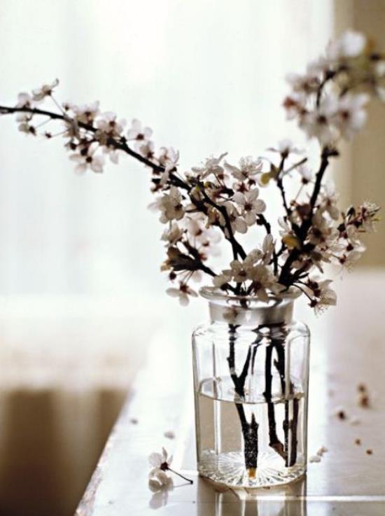 Wiosenna dekoracja z kwiatami wiśni dwie trzy cienkie gałązki białych kwiatów w szkle
