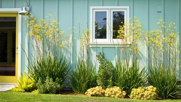 Rendez votre garage attrayant avec des plantes succulentes graminées ornementales fougères sétaire