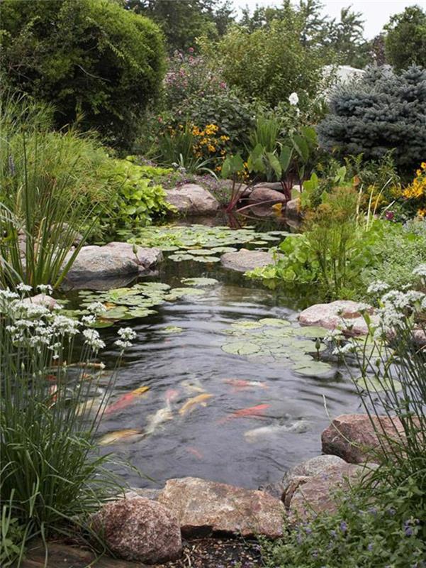 Photos d'étang de jardin idées de jardin japonais étang de carpes koï
