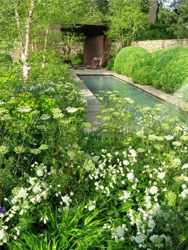 Bassin de jardin photos idées de jardin japonais étang allongé