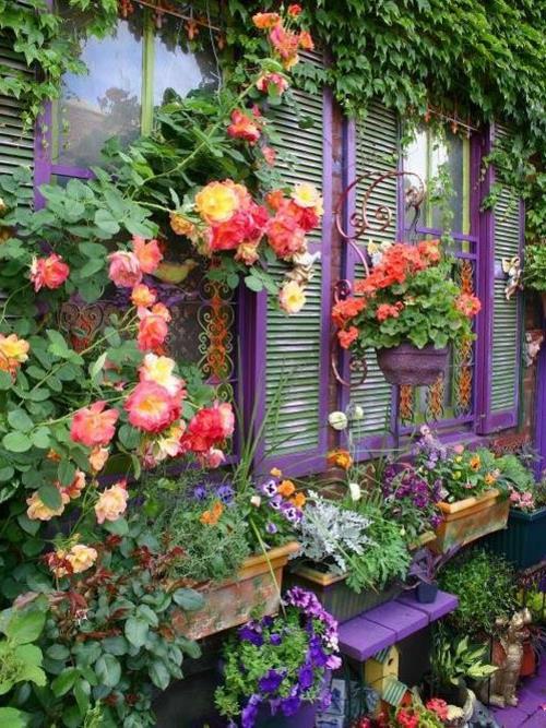 Votre vitrine de décorations de jardin et accessoires de jardin invite les fleurs violettes