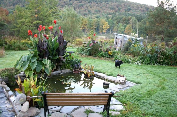 Photos de bassin de jardin idées de jardin plantes de jardin banc en bois