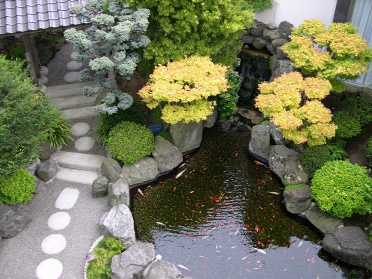 Photos de bassin de jardin idées de jardin plantes aquatiques poisson de bassin