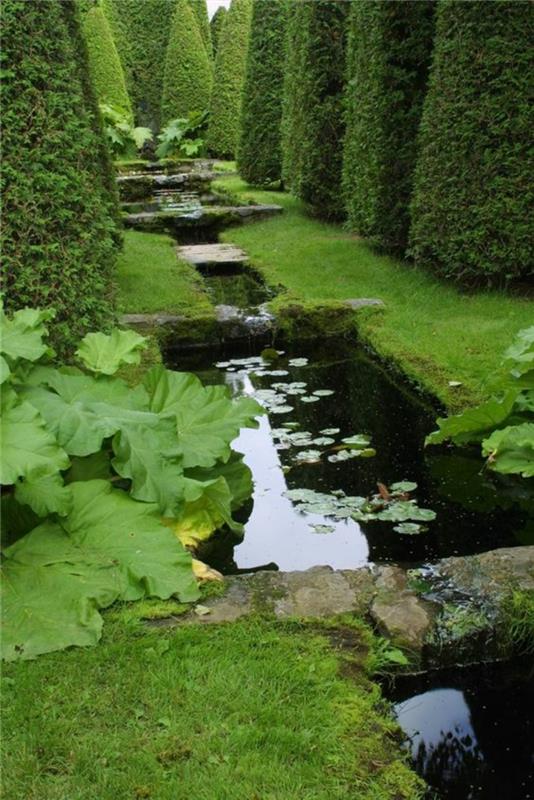 Photos d'étang de jardin design de jardin créatif art de jardin de haie plantes aquatiques étang