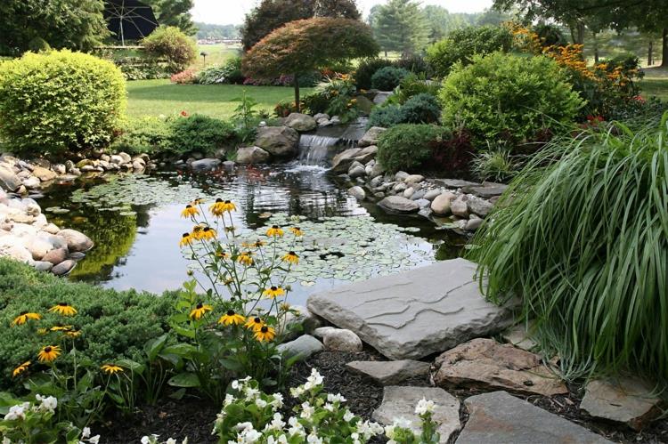 Photos d'étang de jardin design de jardin créatif plantes aquatiques pelouse d'étang