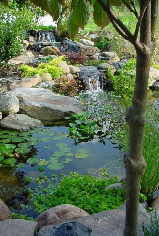 Étangs de jardin plantes aquatiques conception de jardin d'étang avec des pierres