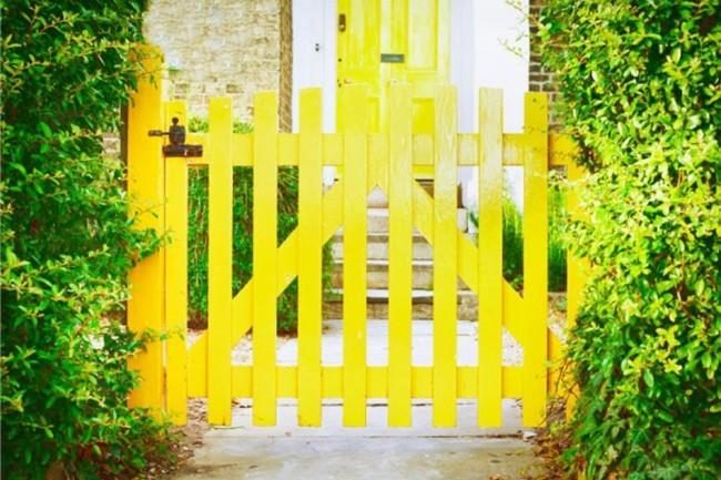 Brama ogrodowa drewno żółty kontrast wizualny z zielonym